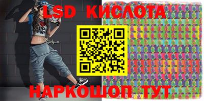 крисы Новодвинск