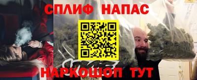 амф Новозыбков