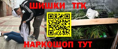 крисы Новодвинск