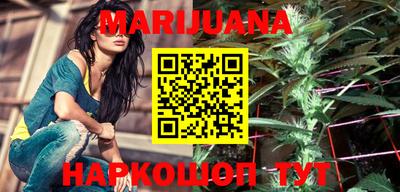крисы Новодвинск
