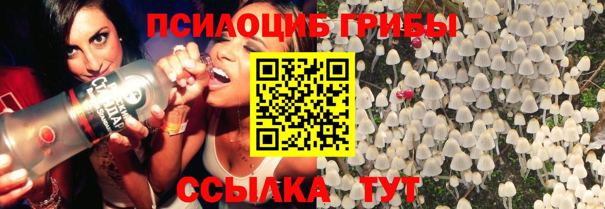 Реж  Псилоцибиновые грибы Psilocybe  Галлюциногенные грибы Cubensis  Вход с VPN 